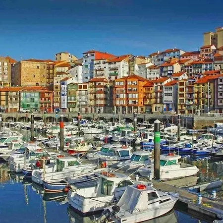 Apartment Arostegi Etxea - Bonito Piso Junto Al Puerto *